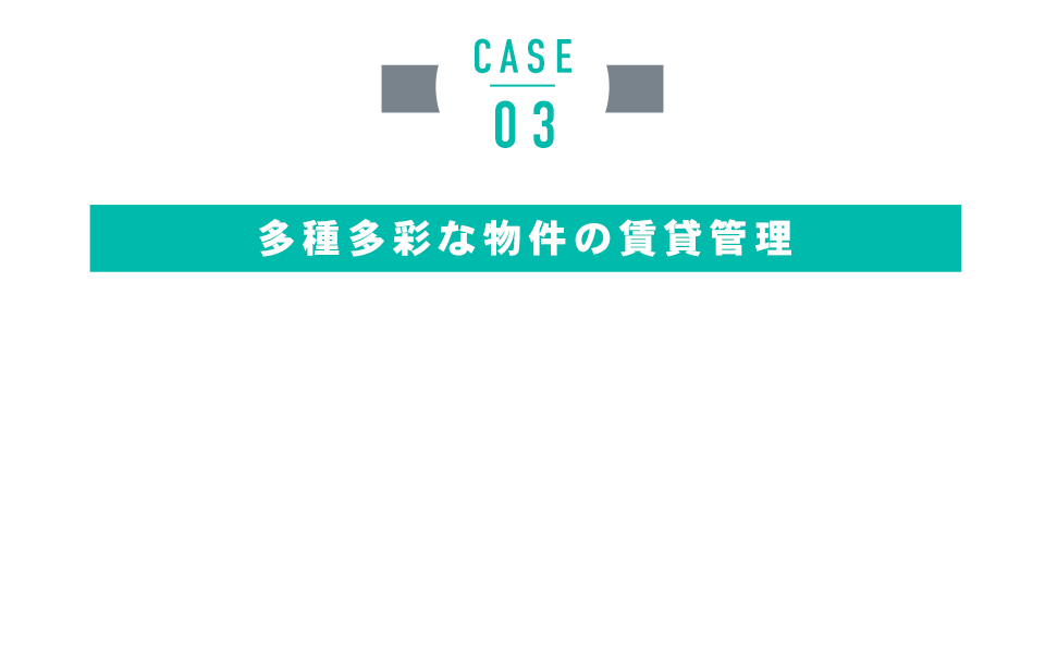 Case 03